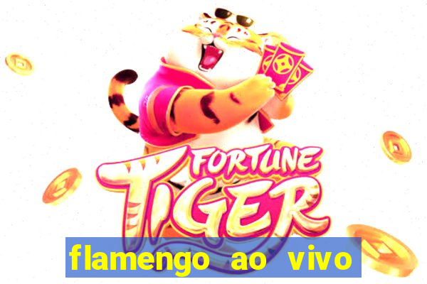 flamengo ao vivo hd play